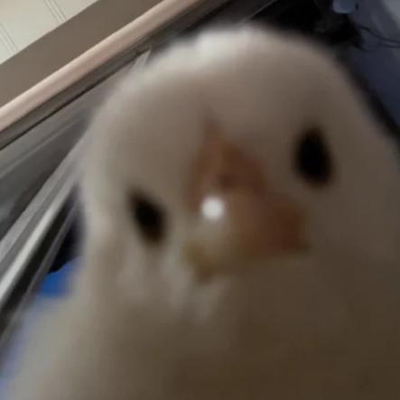 科普的勾勾哒