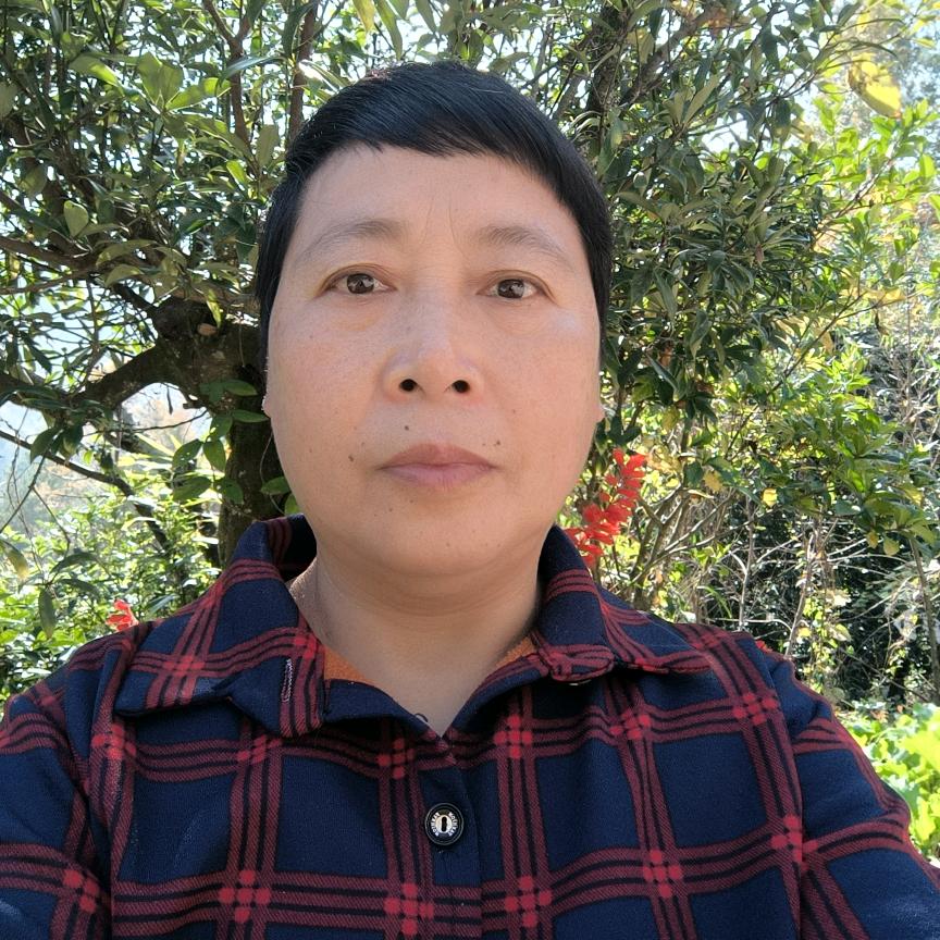 杨八妹(每晚八点十分开播)