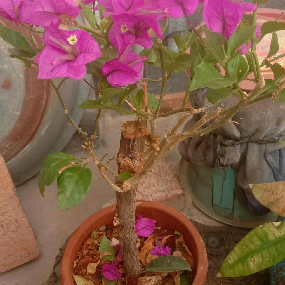 做人好难💑💑👭👭👭