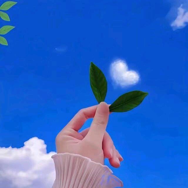 青柠