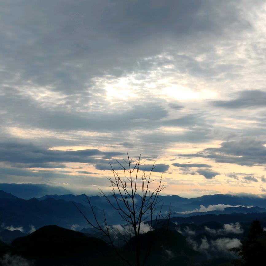 单身养殖场谢毛儿