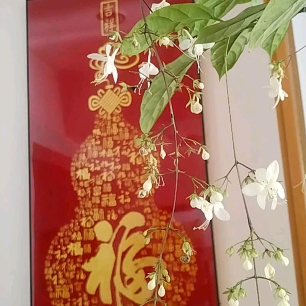 涟漪