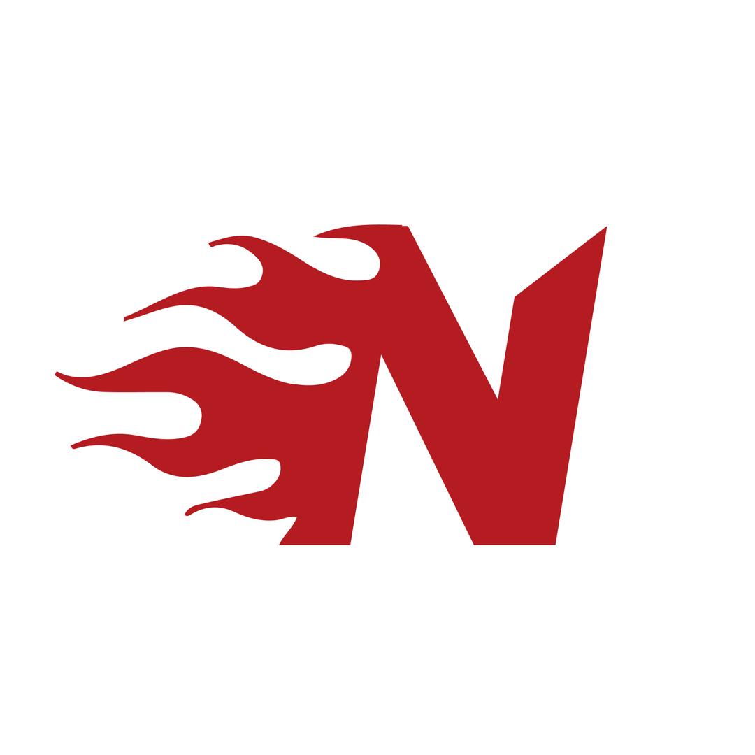 NikolaToy