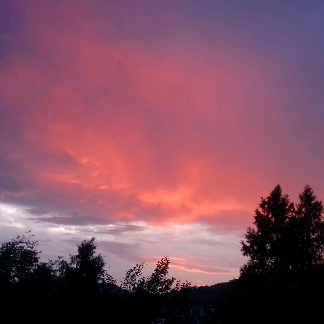 🖤🤍🤎海棠蚀🤎🤍🖤