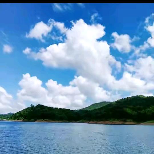 揾大鱼🎣