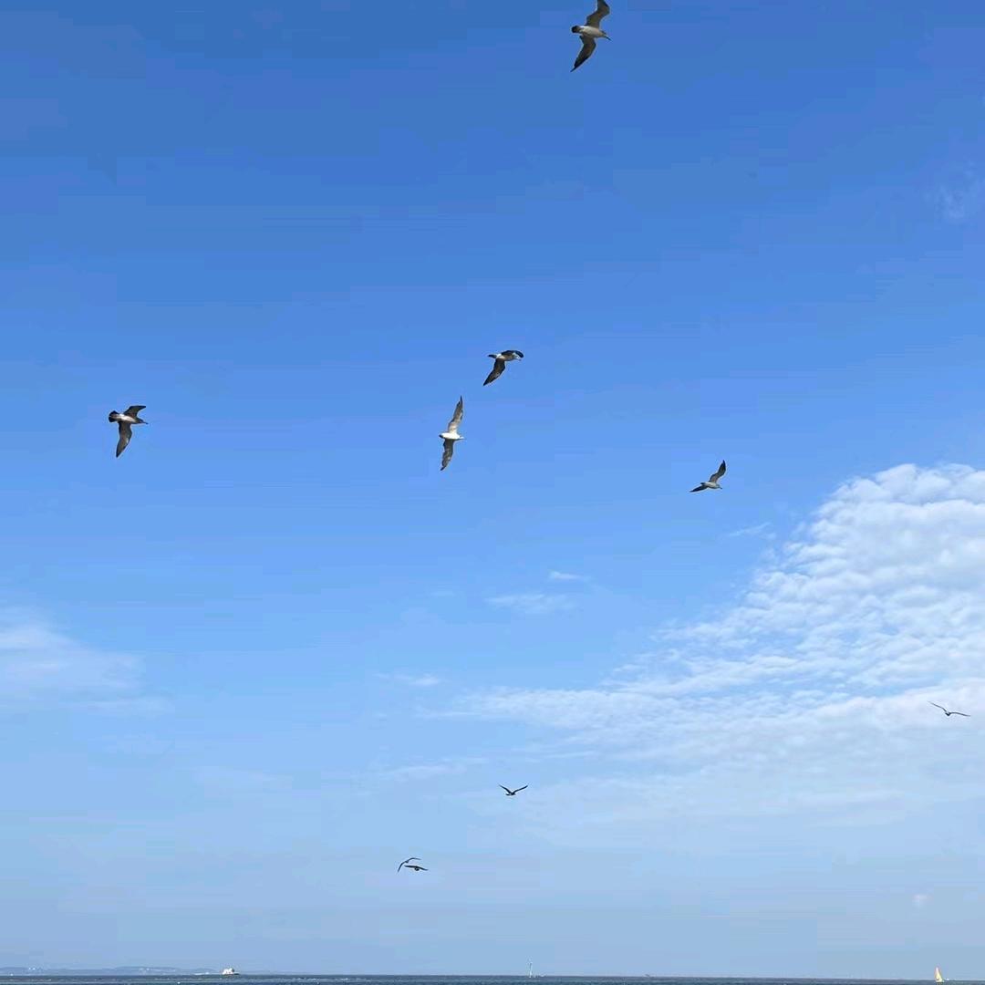 洋洋海钓俱乐部