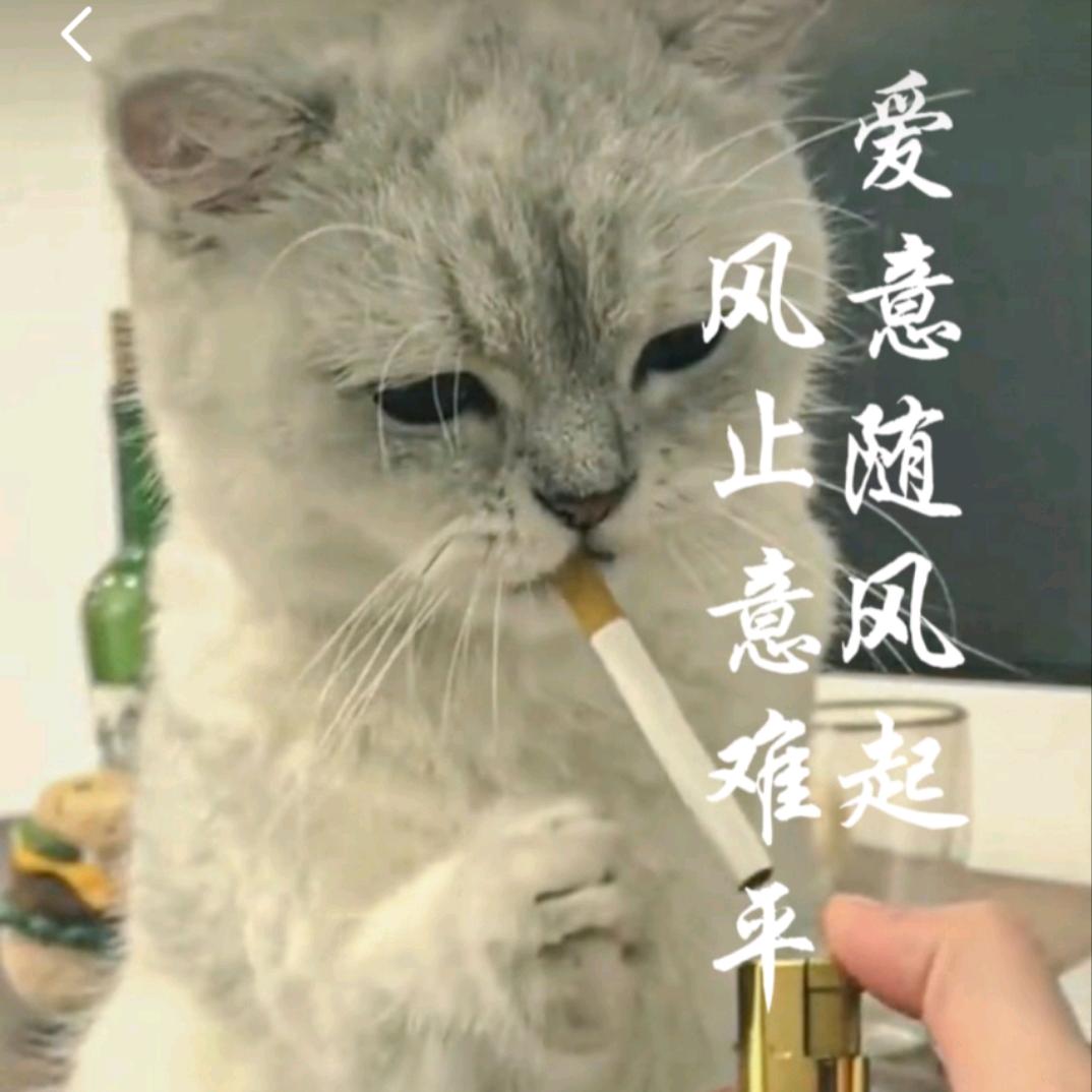 👉回忆@总想哭👈1909