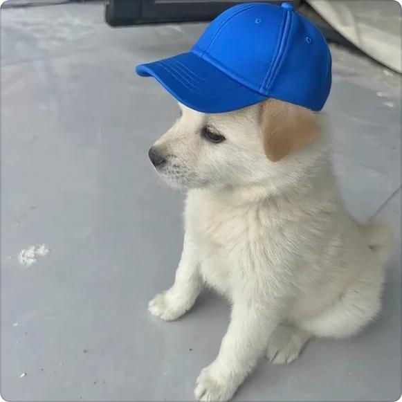 极品单字ID