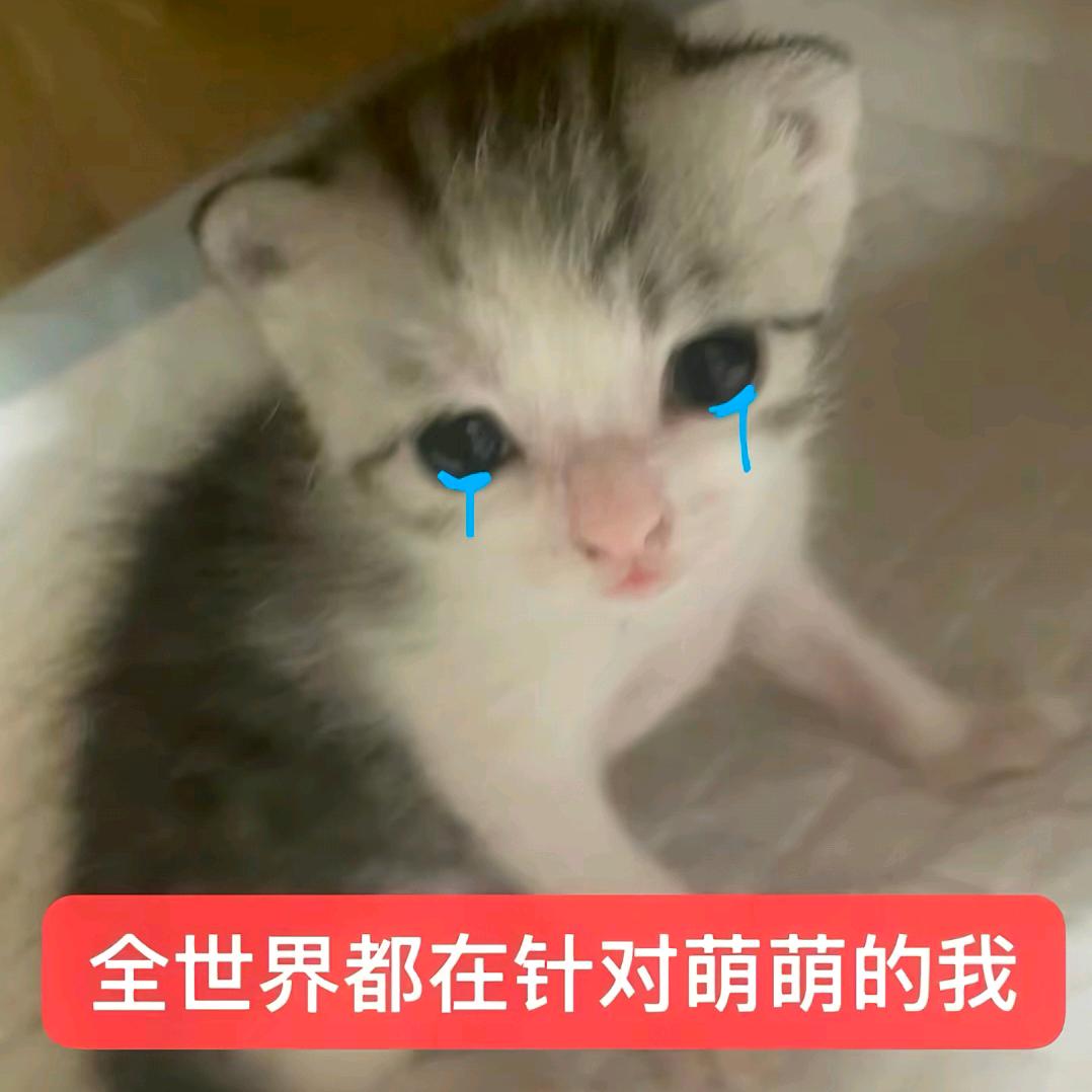 yc.