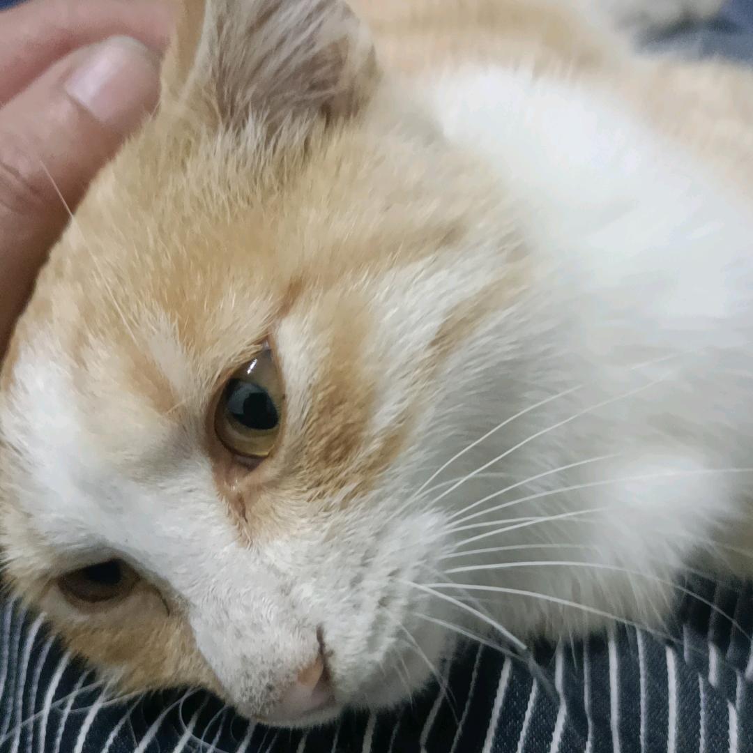 重生