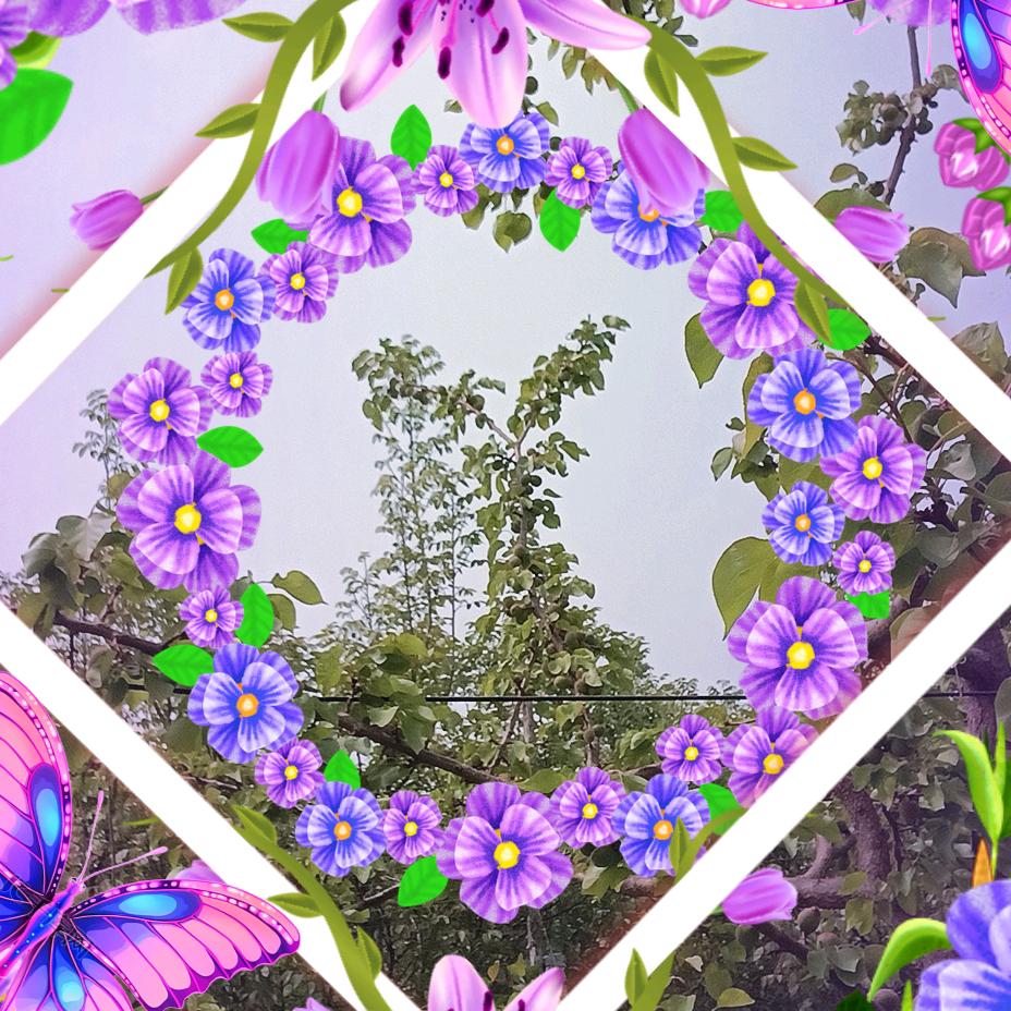 梅梅