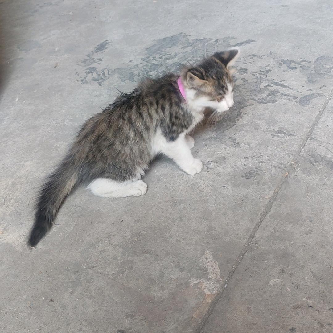 爱一生