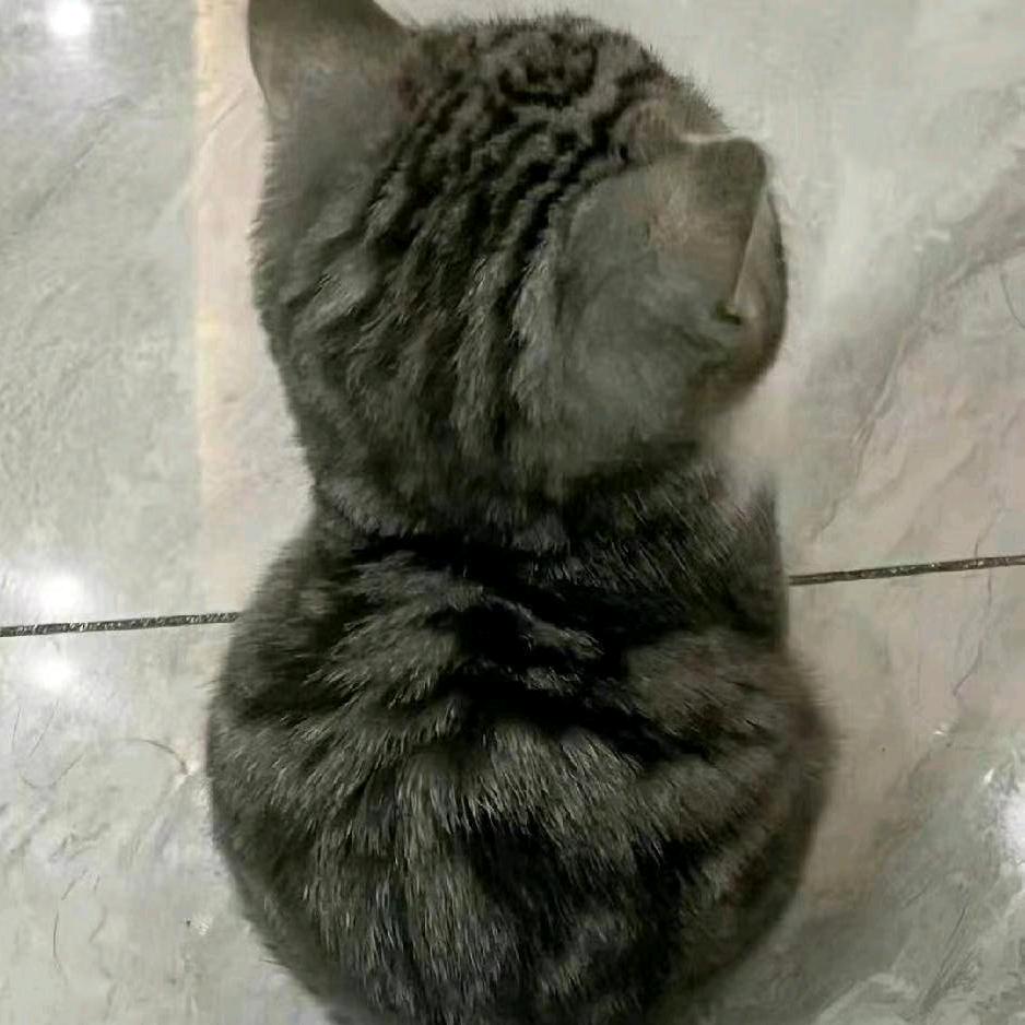 云间