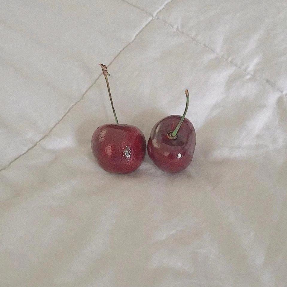 柠朽