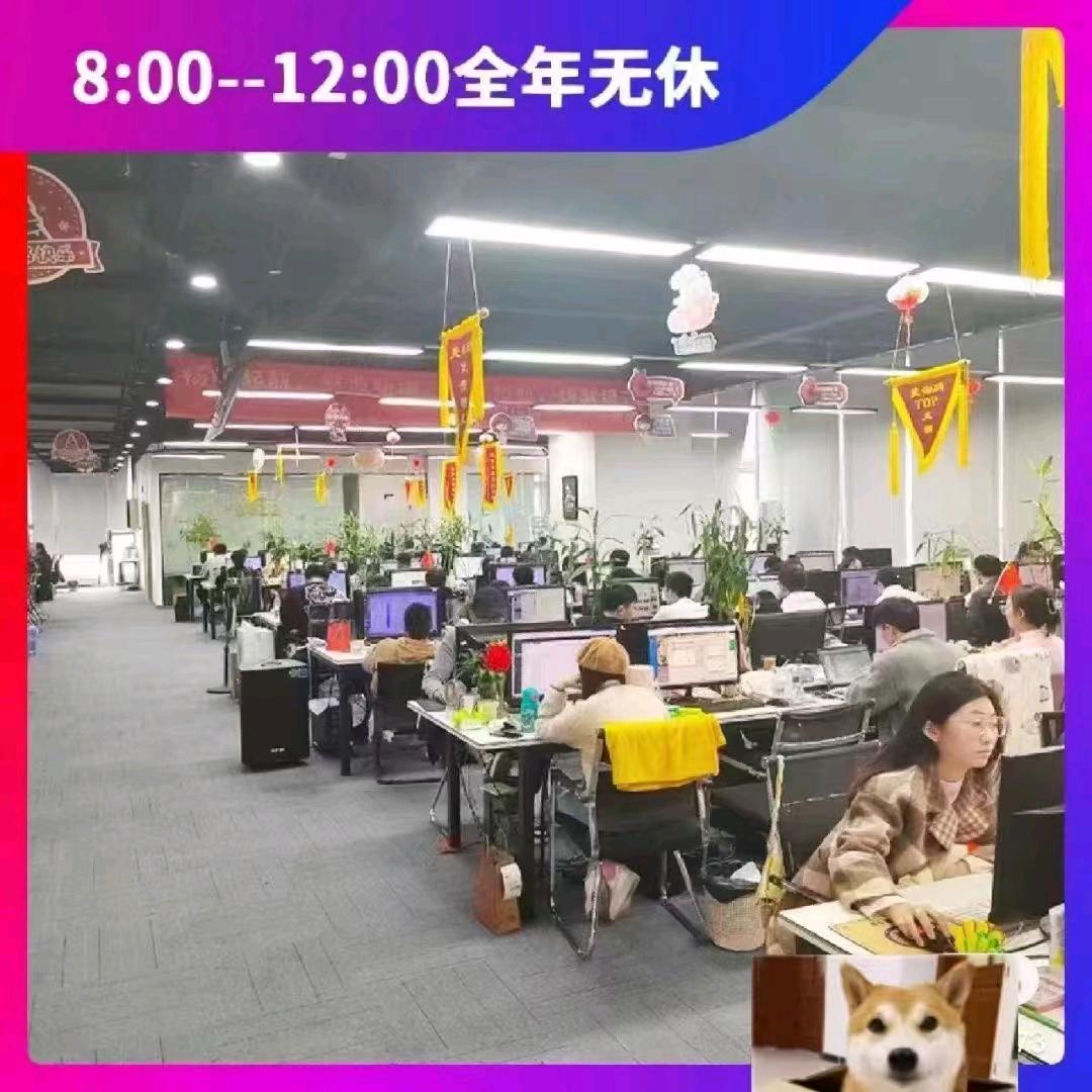 红袖客服外包