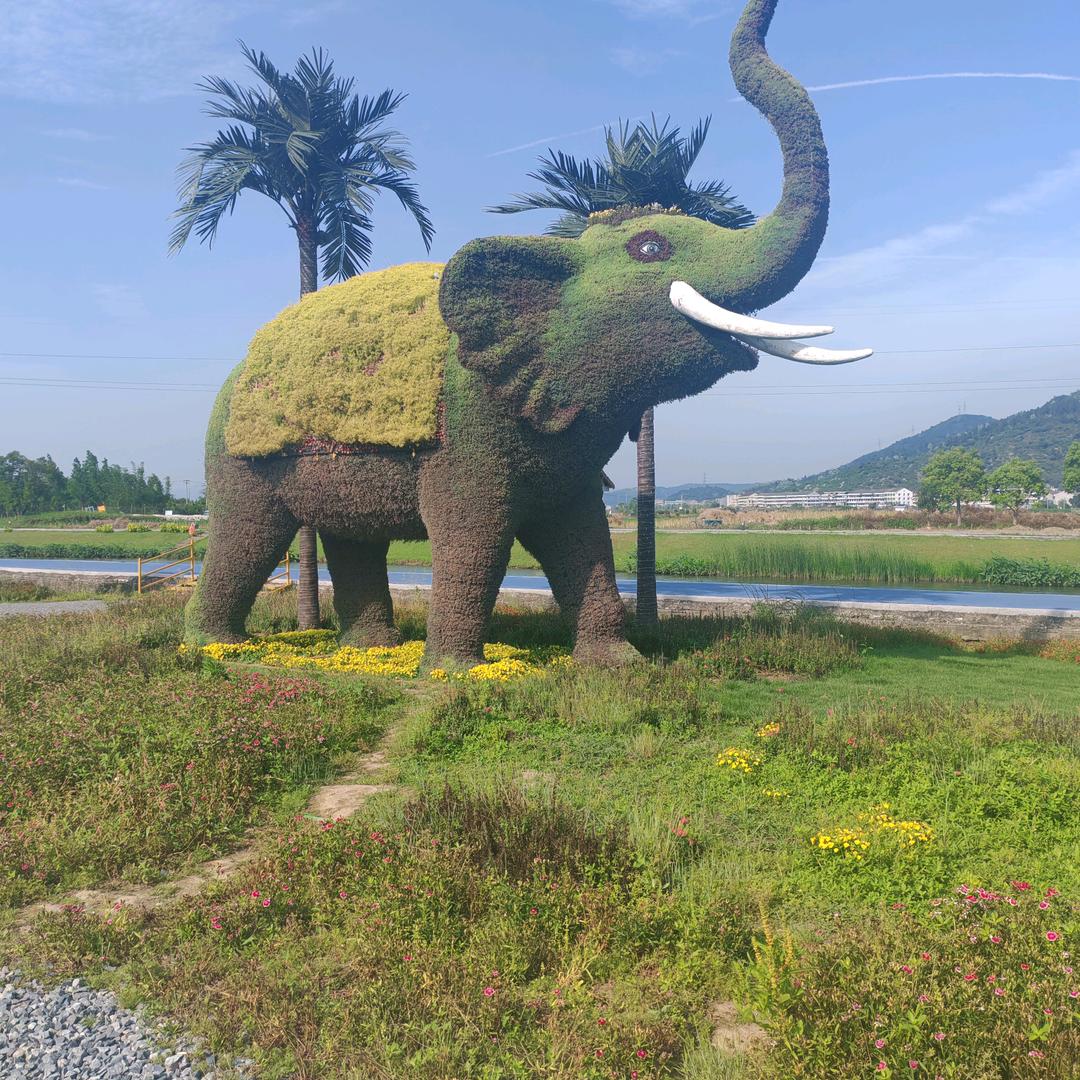 六六大叔