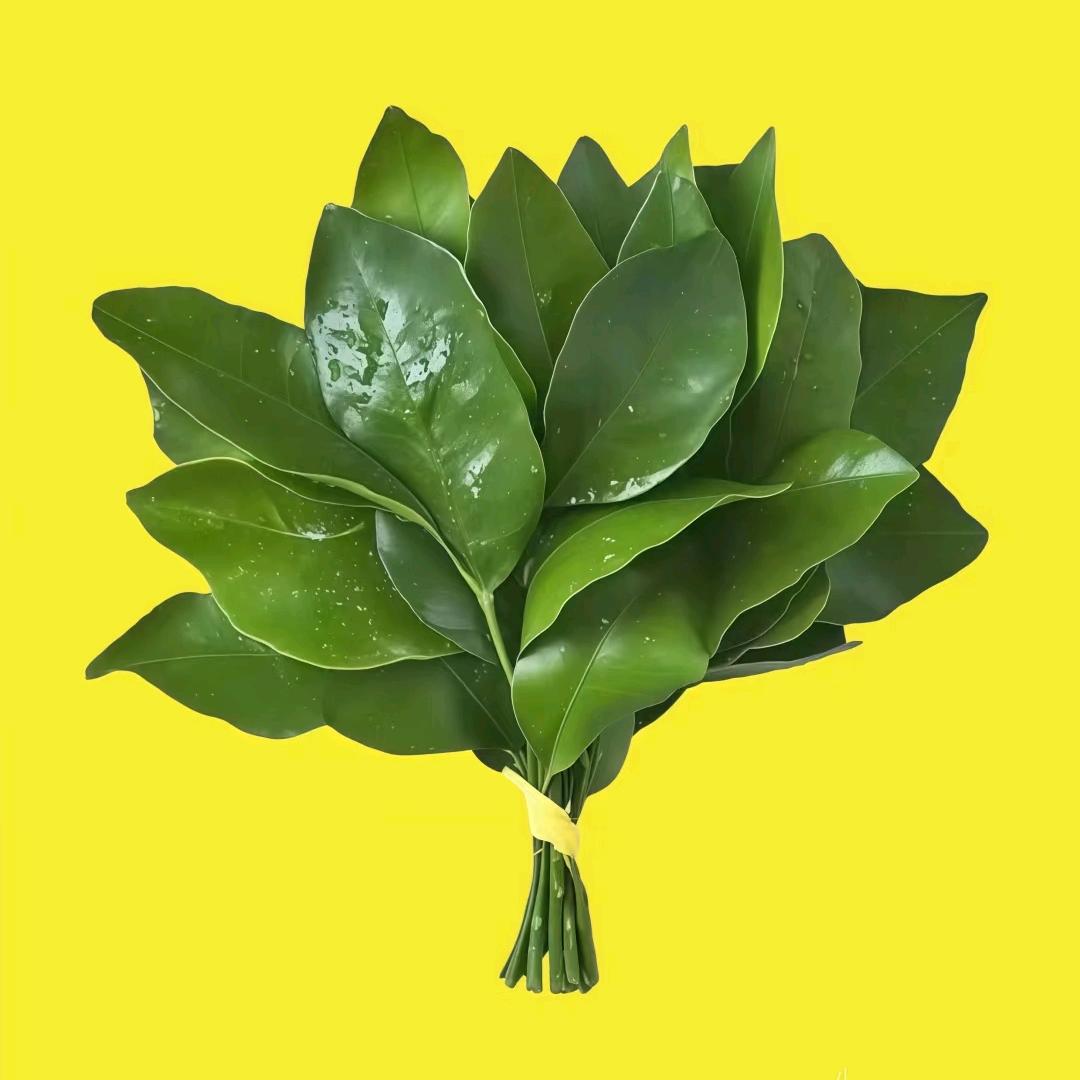 向阳🌻⃟⸜而生