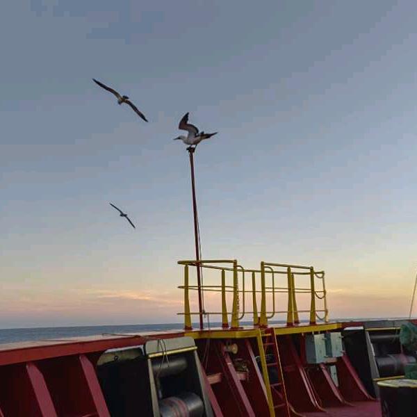 海810