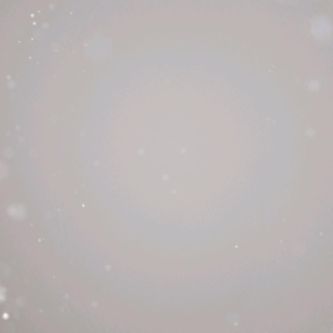 树叶