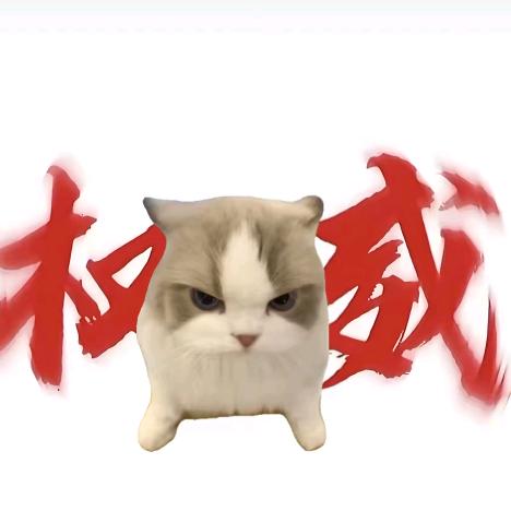 权威