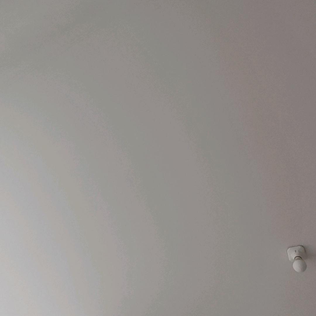 一只特立独行的猪