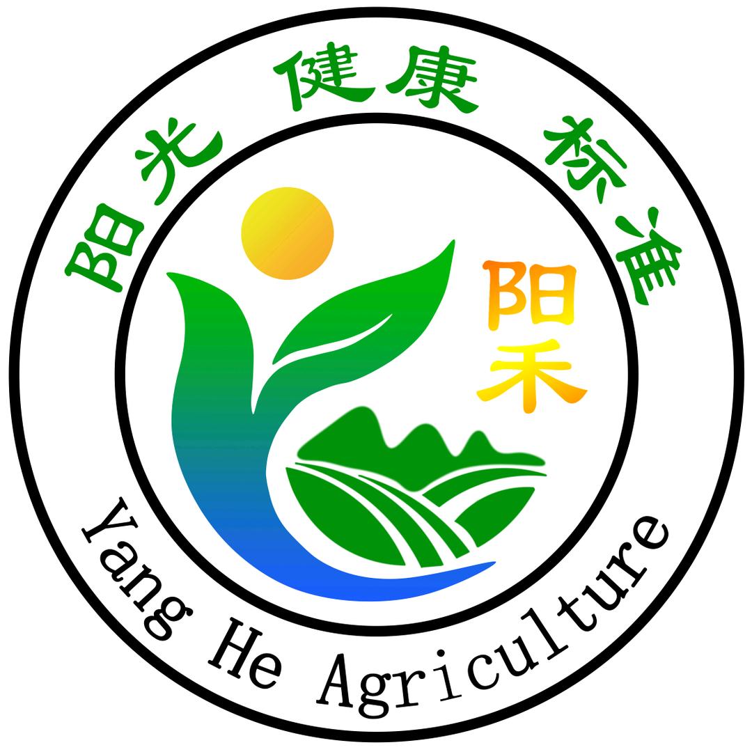 阳禾家高品质梅干菜