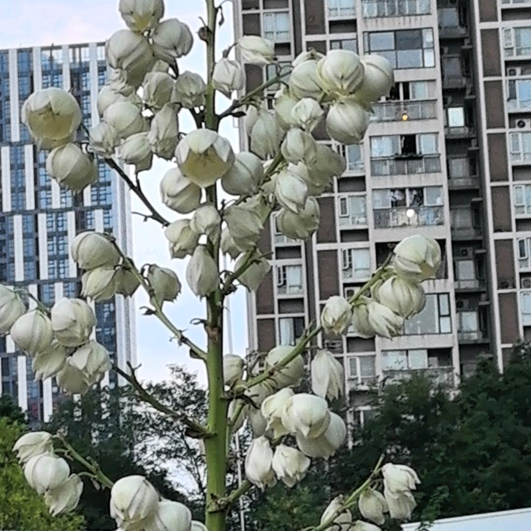 靠自己
