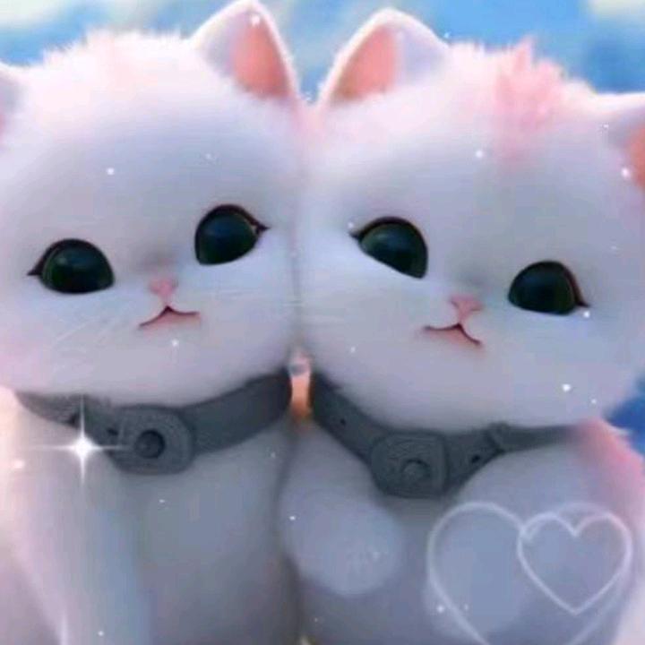 （づ🌹有你真好拒私聊❤️ど）