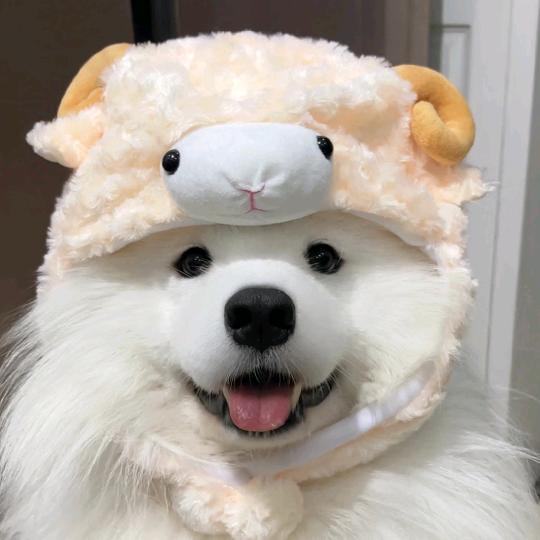 Yuᯅu