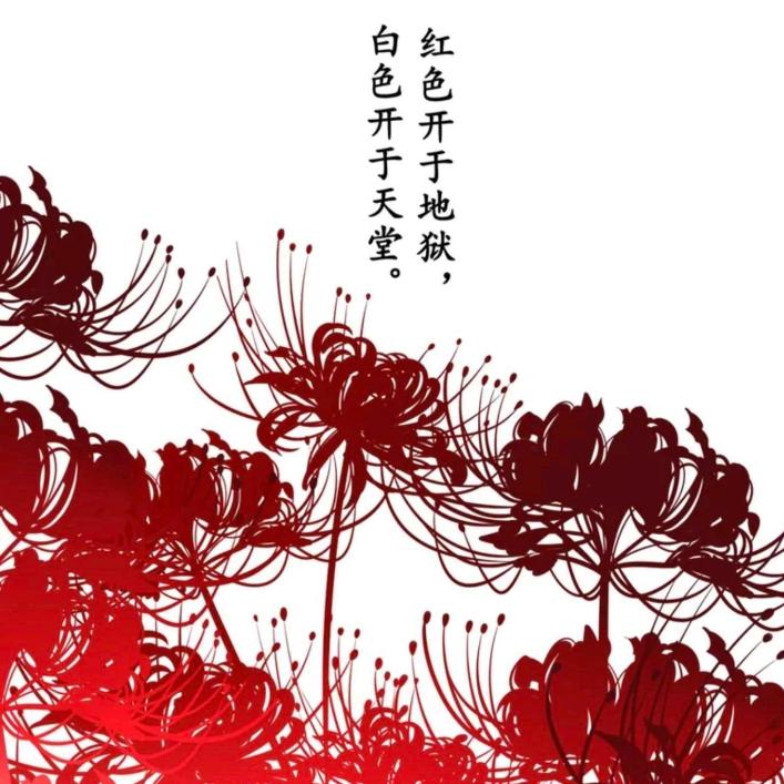 忧梦玖