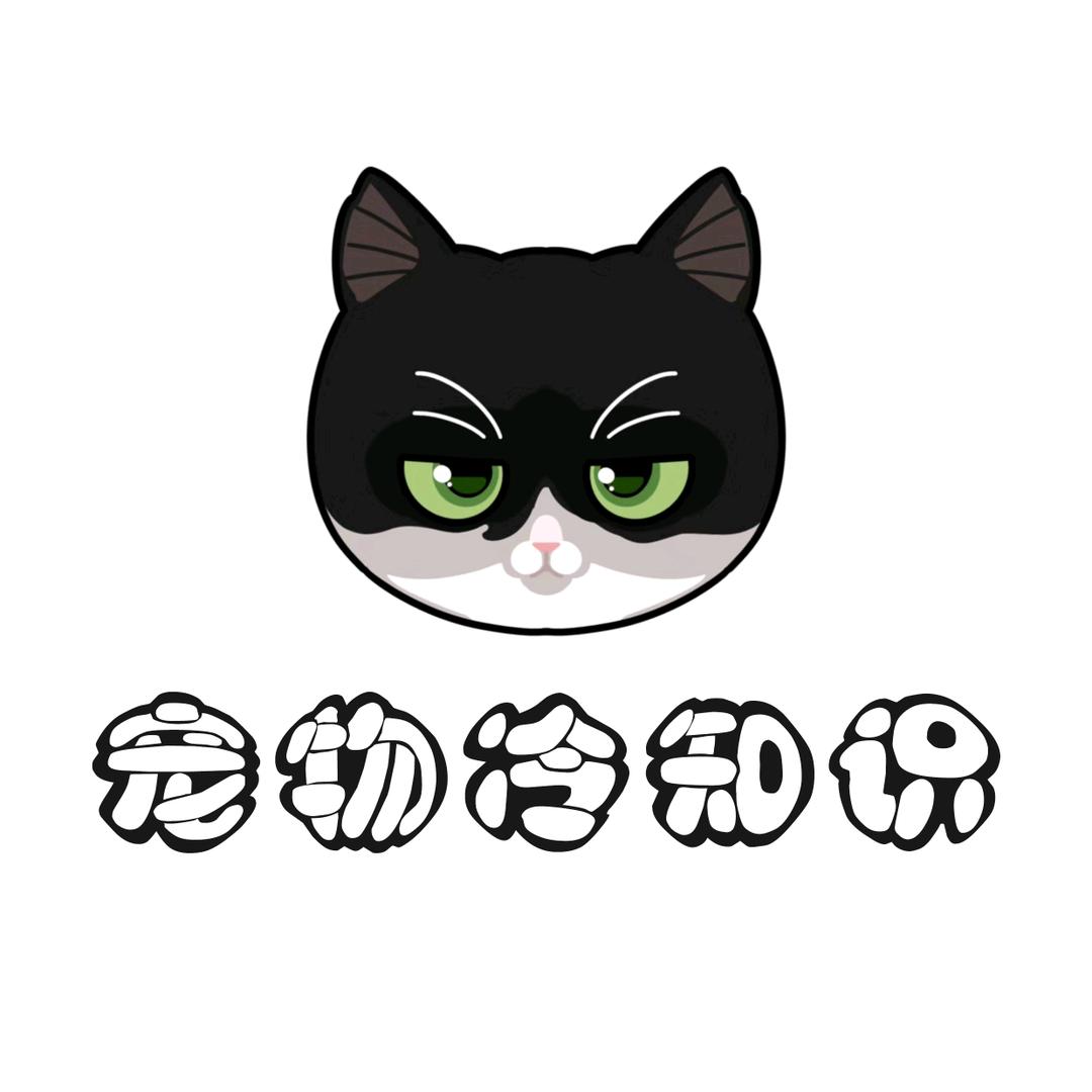 小旭养宠