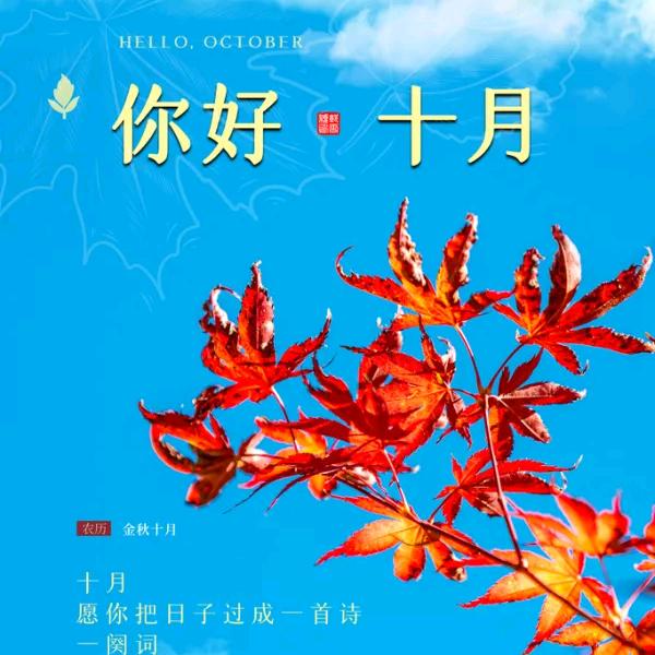 糖果世界