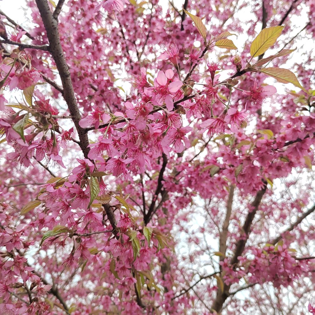 乆㚘✧٩(ˊωˋ*)و✧