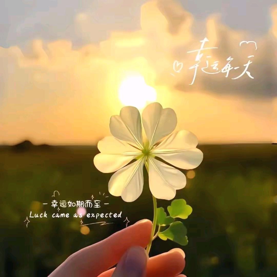 晏阳