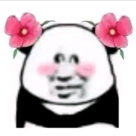 20岁老爷爷（恩施寝室长）