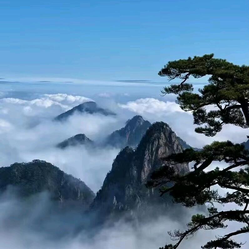 王柏川lin