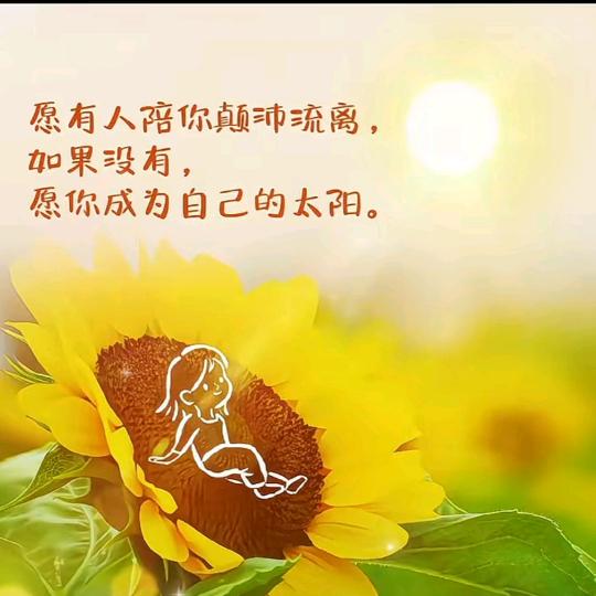 向日葵的微笑🌻