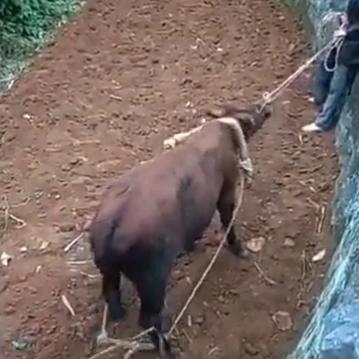 江杰斌