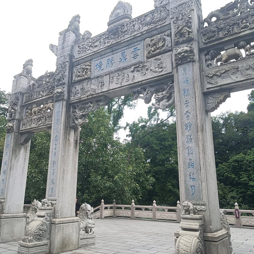 锵锵碳中和