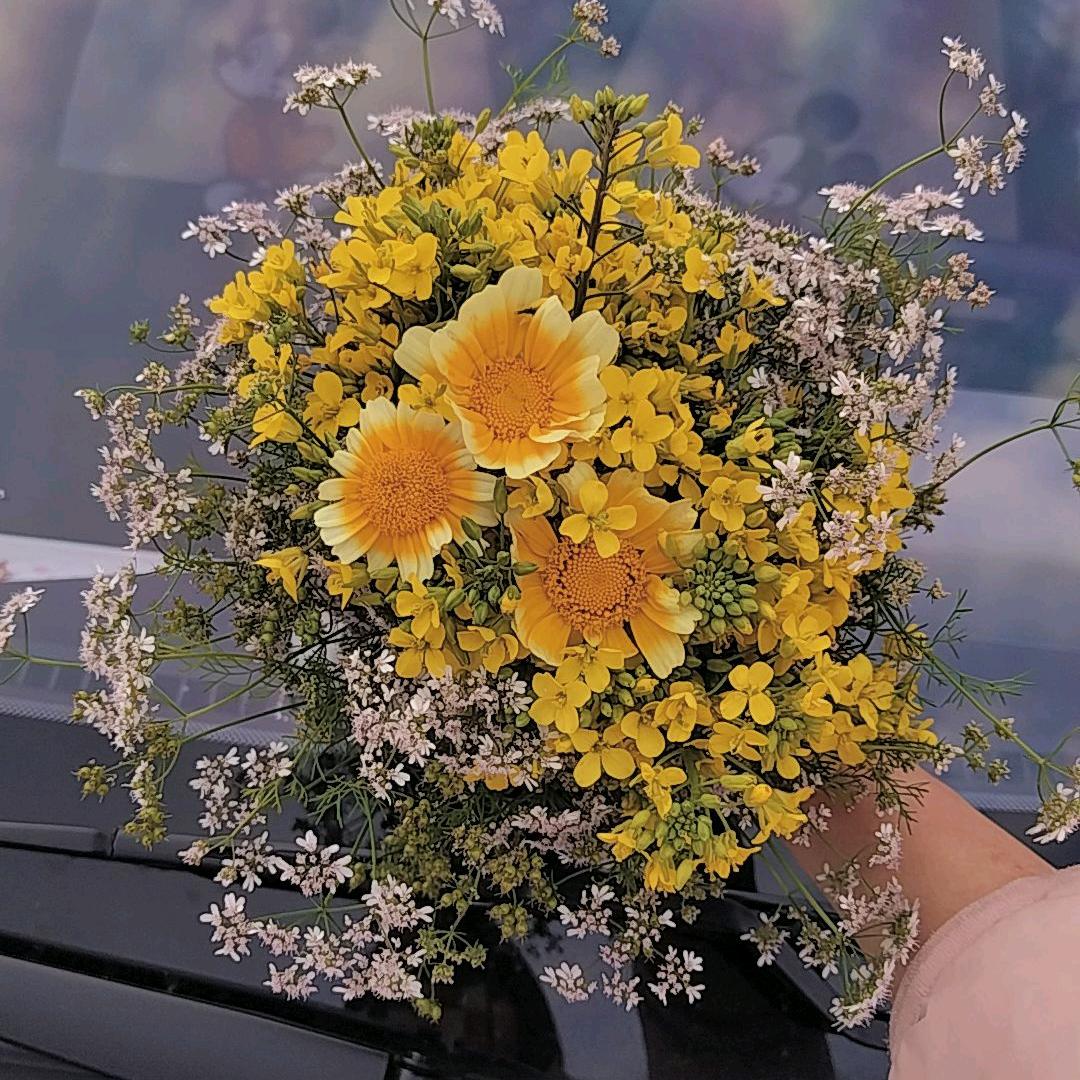 ²º¹⁶·₁₂·₂₉