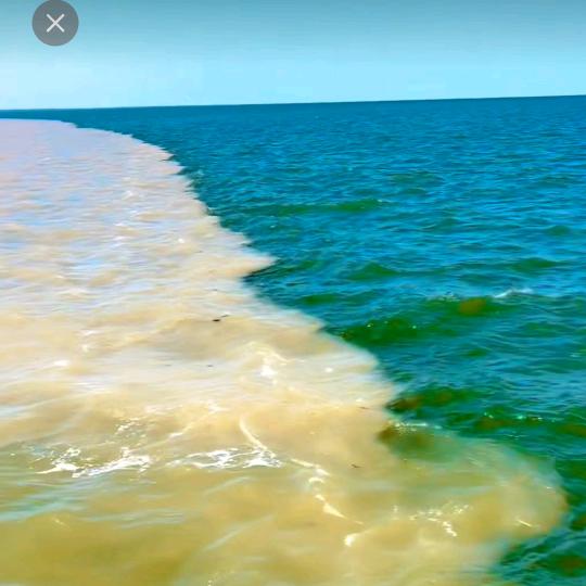 水沝淼㵘（拒绝私聊）