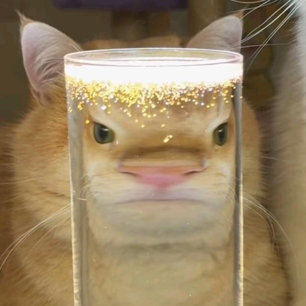 鲁
