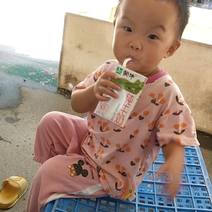 小崔豆芽批发
