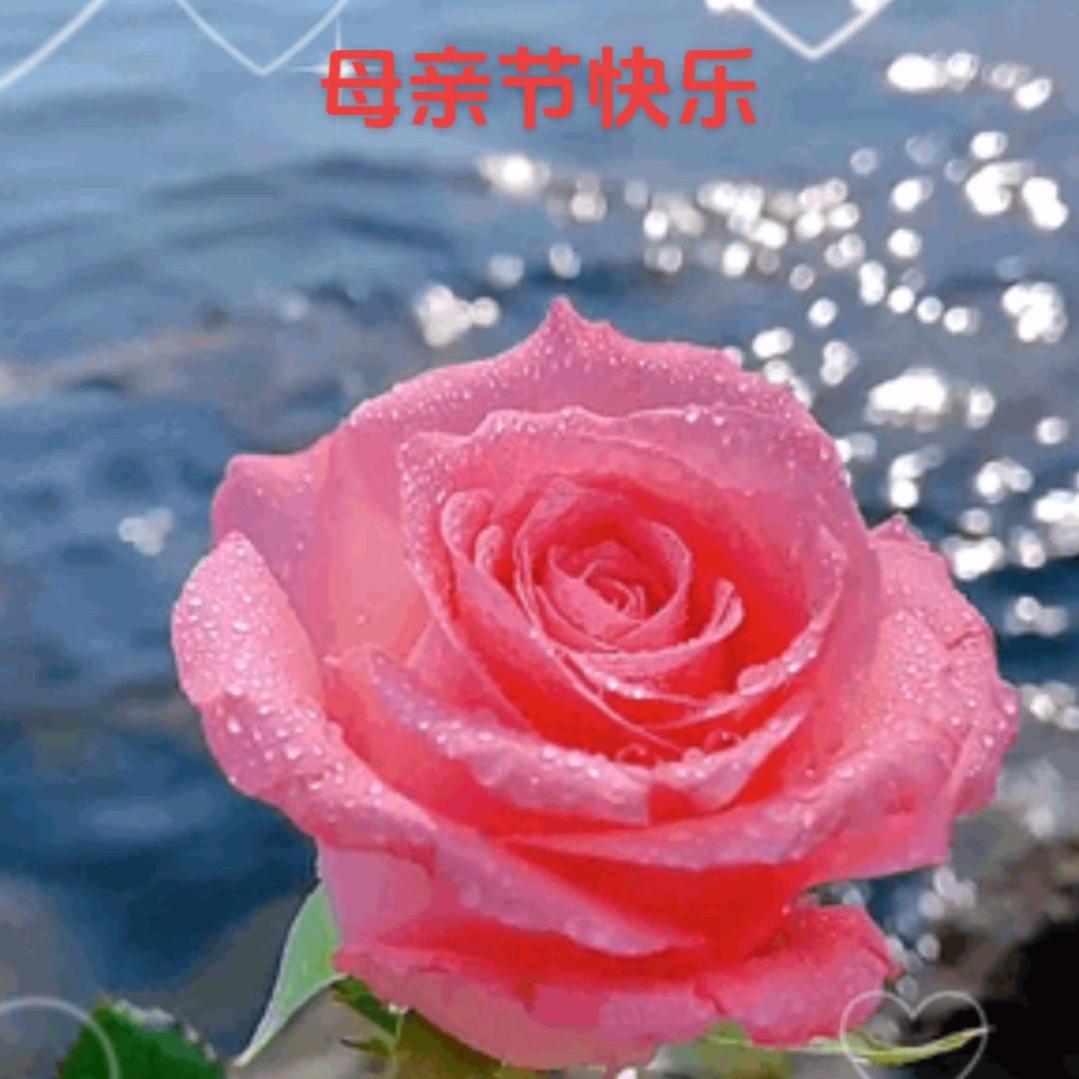 为自己而活😀😀