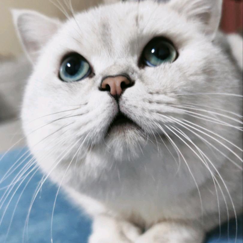 南墙。！