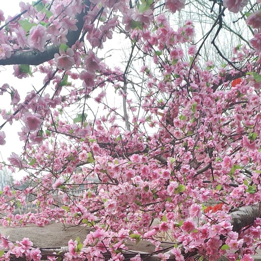 ༊独ღ᭄宠ꦿ꯭এ᭄