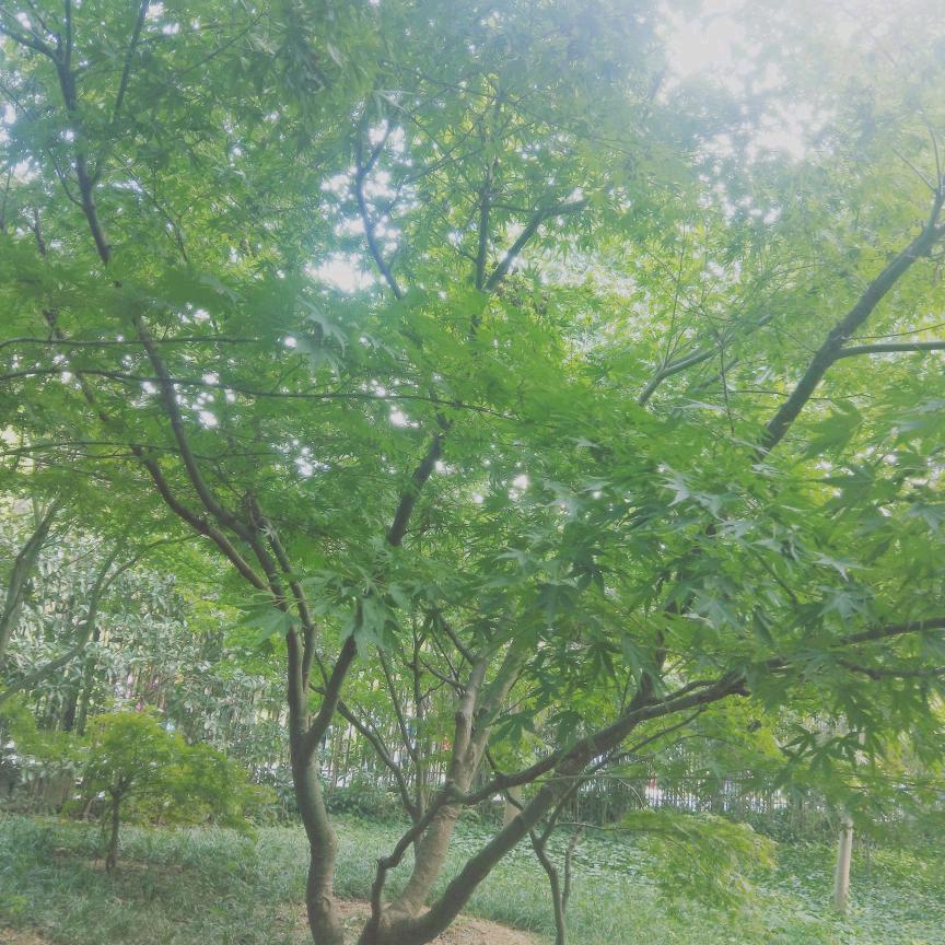 一笑而过