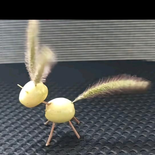张波儿