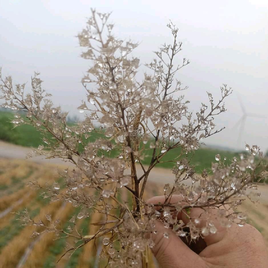 卜离卜弃✊守住幸福🥤🥤🥤