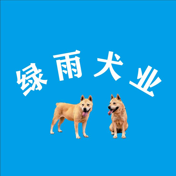 绿雨犬业